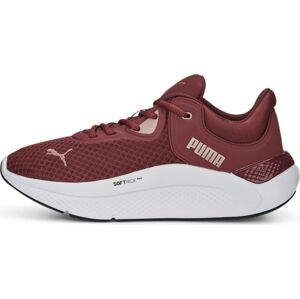 Sportovní boty 'Softride Pro' Puma purpurová