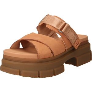 Pantofle 'Ashton' Ugg hnědá