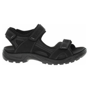 Pánské sandály Ecco 69000451094 black-black 46