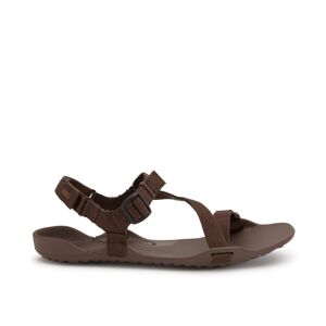 XERO SHOES Z-TREK Brown | Barefoot sandály - 47