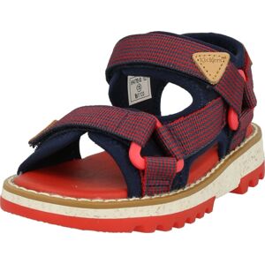 Otevřená obuv 'Kicklock' Kickers velbloudí / námořnická modř / azurová / červená