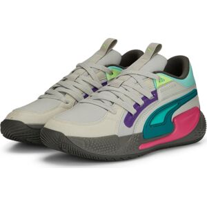 PUMA Sportovní boty 'Court Rider Chaos Daytona' světle šedá / nefritová / tmavě fialová / bílá