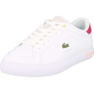 Tenisky 'POWERCOURT' Lacoste zelená / pink / bílá