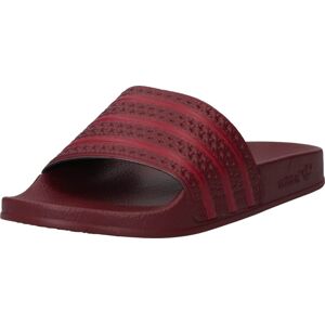 ADIDAS ORIGINALS Pantofle 'ADILETTE' burgundská červeň / tmavě červená