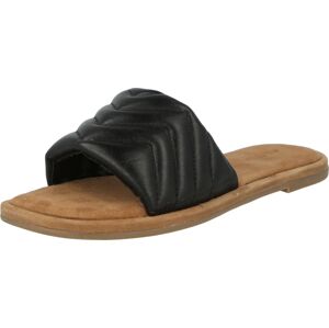 Pantofle 'PILINIAA' ALDO černá
